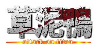 草泥鴨 (attack on titan)