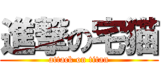 進撃の宅猫 (attack on titan)