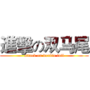 進擊の双马尾 (attack on double tail)