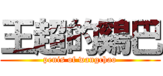 王超的鷄巴 (penis of wangchao)