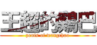 王超的鷄巴 (penis of wangchao)