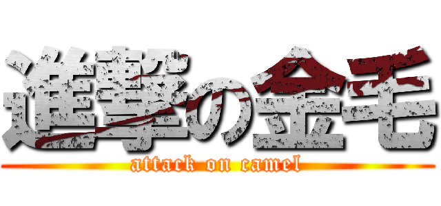 進撃の金毛 (attack on camel)
