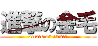 進撃の金毛 (attack on camel)