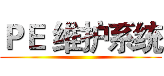 ＰＥ 维护系统 ()