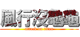 風行沒龜龜 (attack on titan)