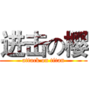 进击の樱 (attack on titan)