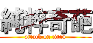 純粹奇葩 (attack on titan)