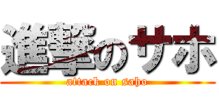 進撃のサホ (attack on saho)