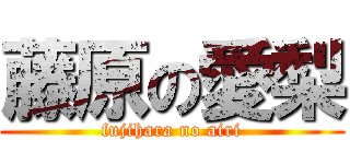 藤原の愛梨 (fujihara no airi)