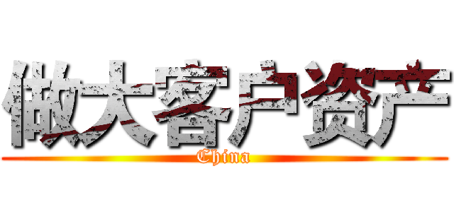 做大客户资产 (China)