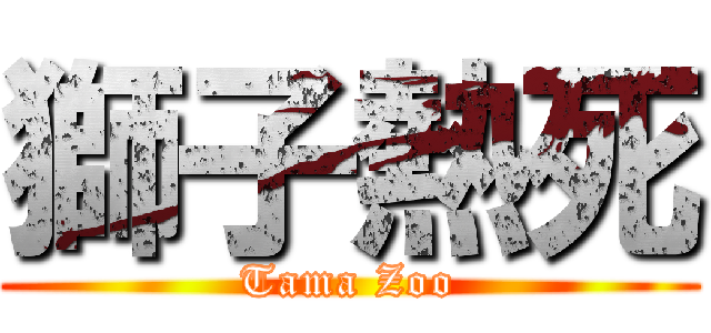 獅子熱死 (Tama Zoo)
