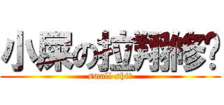 小屎の拉翔修为 (small shit)