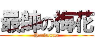 最帥の梅花 (Handsome)