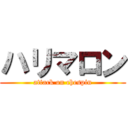 ハリマロン (attack on chespin)