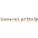 Ｇｅｎｅｒａｌ  ｐｒｉｎｃｉｐｌｅｓ (attack on titan)