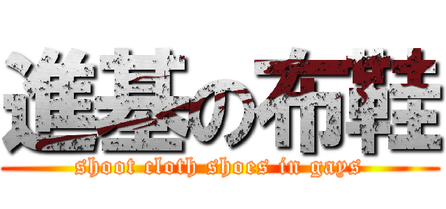 進基の布鞋 (shoot cloth shoes in gays)
