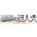 進撃の巨人犬 (attack on titan)