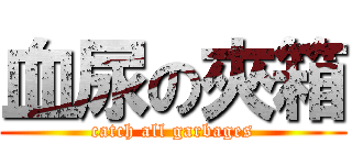 血尿の夾箱 (catch all garbages)