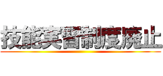 技能実習制度廃止 ()