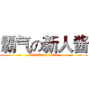 霸气の新人酱 (attack on titan)