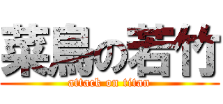 菜鳥の若竹 (attack on titan)