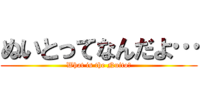 ぬいとってなんだよ… (What is the Nuito?)