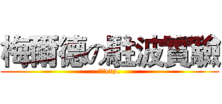 梅爾德の駐波實驗 (普化exp.)