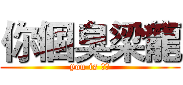 你個臭梁龍 (you is 梁龍)