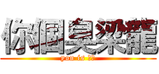 你個臭梁龍 (you is 梁龍)