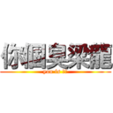 你個臭梁龍 (you is 梁龍)