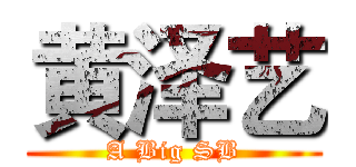 黄泽艺 (A Big SB)