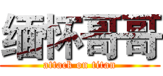 缅怀哥哥 (attack on titan)