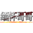 缅怀哥哥 (attack on titan)