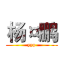 杨¤鹏 (yyp)