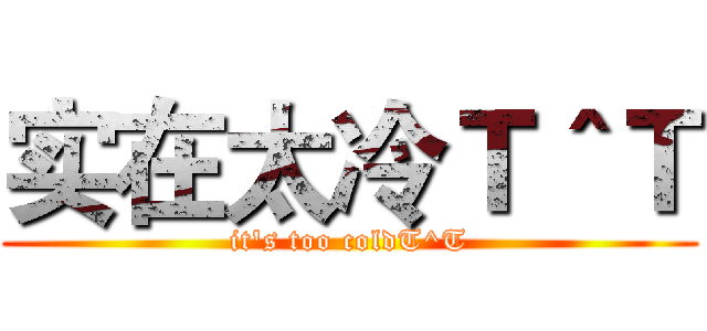 实在太冷Ｔ＾Ｔ (it's too coldT^T)