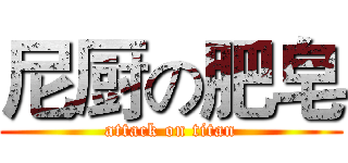 尼厨の肥皂 (attack on titan)