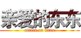 亲爱的东东 (attack on titan)