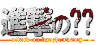 進撃の卡尔 (attack on baozhenwang)