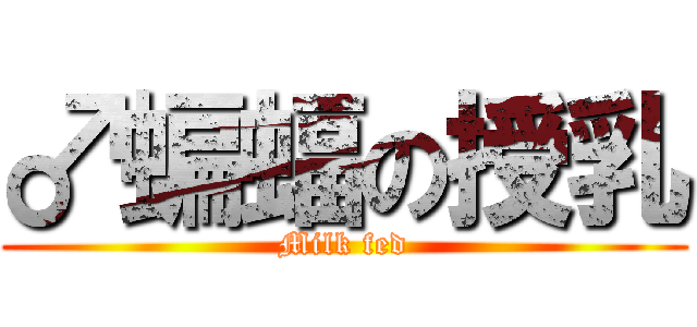 ♂蝙蝠の授乳 (Milk fed)