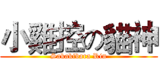 小雞控の貓神 (Sakakibara Rin)