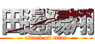 田邊陽翔 (attack on titan)