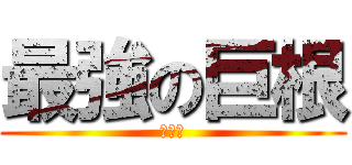 最強の巨根 (和左田)