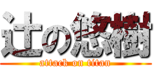 辻の悠樹 (attack on titan)