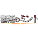 繁殖のミント (attack on titan)