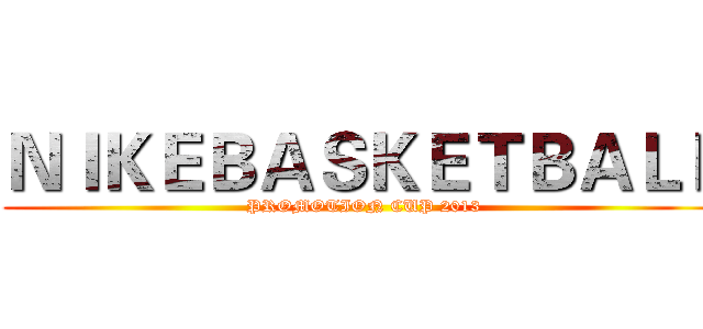 ＮＩＫＥＢＡＳＫＥＴＢＡＬＬ (PROMOTION CUP 2013)