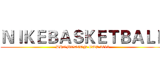 ＮＩＫＥＢＡＳＫＥＴＢＡＬＬ (PROMOTION CUP 2013)