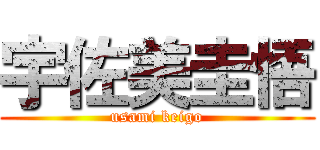 宇佐美圭悟 (usami keigo)