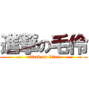 進撃の毛伶 (attack on titan)