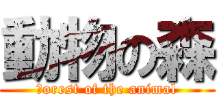 動物の森 (ｆorest of the animal)