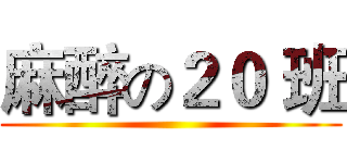 麻醉の２０ 班 ()